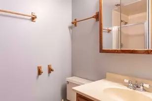 7824 W 87th Pl, Bridgeview, IL 60455 - Photo 19