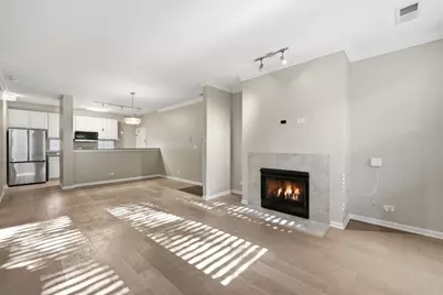 1225 N Orleans Street #602, Chicago, IL 60610 - Photo 5