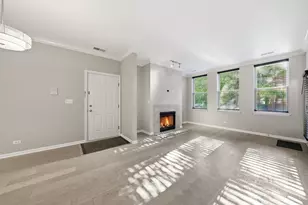 1225 N Orleans St, Chicago, IL 60610 - Photo 3