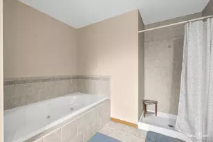 610 High Grove Dr, Minooka, IL 60447 - Photo 17