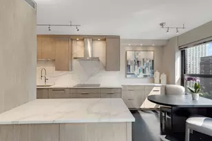 1501 N State Pkwy, Chicago, IL 60610 - Photo 9