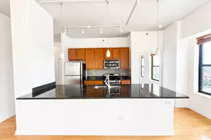 1122 W Catalpa Ave, Chicago, IL 60640 - Photo 9