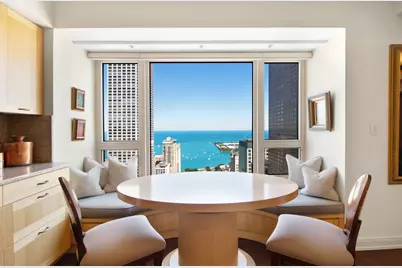 800 N Michigan Avenue #4201, Chicago, IL 60611 - Photo 13