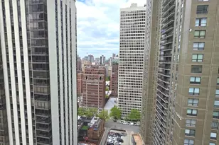 1000 N Lake Shore Dr, Chicago, IL 60611 - Photo 27