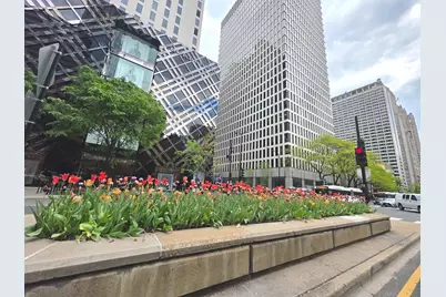 1000 N Lake Shore Drive #809, Chicago, IL 60611 - Photo 31