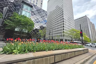 1000 N Lake Shore Dr, Chicago, IL 60611 - Photo 31