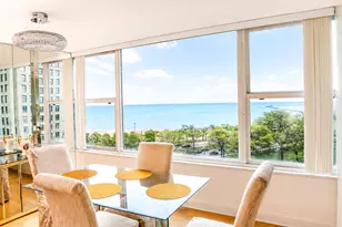 1000 N Lake Shore Dr, Chicago, IL 60611 - Photo 9