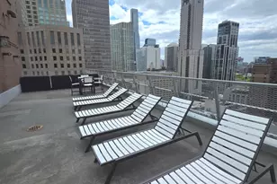 1000 N Lake Shore Dr, Chicago, IL 60611 - Photo 25