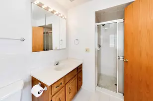 920 N Northwest Hwy, Park Ridge, IL 60068 - Photo 31