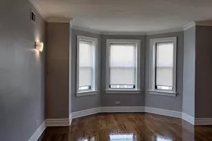 1741 W 80th St, Chicago, IL 60620 - Photo 3