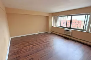 7337 S South Shore Dr, Chicago, IL 60649 - Photo 19
