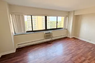 7337 S South Shore Dr, Chicago, IL 60649 - Photo 17