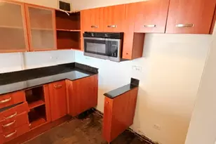 7337 S South Shore Dr, Chicago, IL 60649 - Photo 15