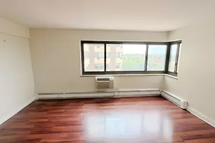 7337 S South Shore Dr, Chicago, IL 60649 - Photo 13