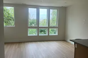 3723 S Lake Park Ave, Chicago, IL 60653 - Photo 13