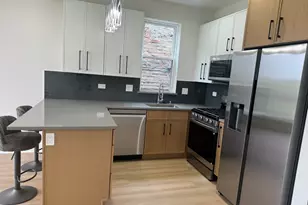3723 S Lake Park Ave, Chicago, IL 60653 - Photo 3