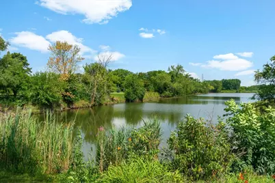 1541 E Lake Louise Drive, Palatine, IL 60074 - Photo 39