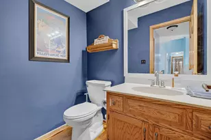 3385 W Nettle Creek Dr, Morris, IL 60450 - Photo 39