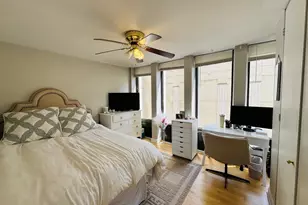 100 E Walton St, Chicago, IL 60611 - Photo 9