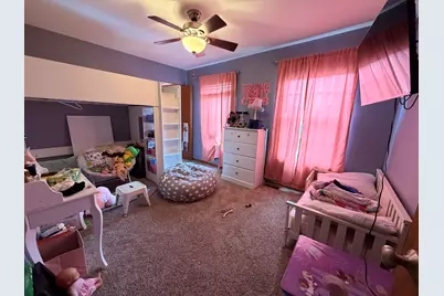 909 Timber Springs Drive, Joliet, IL 60432 - Photo 13