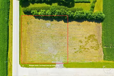 155 Prairie View Lane, Manteno, IL 60950 - Photo 1