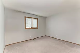 226 Manor Dr, New Lenox, IL 60451 - Photo 15