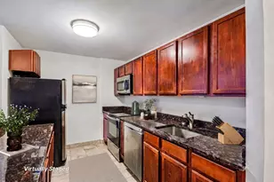 222 E Pearson St, Chicago, IL 60611 - Photo 5