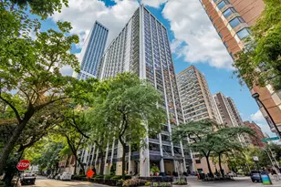 222 E Pearson St, Chicago, IL 60611 - Photo 1