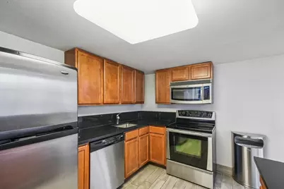 222 E Pearson Street #1006, Chicago, IL 60611 - Photo 17
