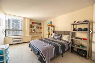 1460 N Sandburg Terrace, Chicago, IL 60610 - Photo 11