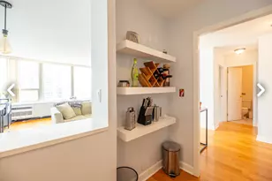 1460 N Sandburg Terrace, Chicago, IL 60610 - Photo 5