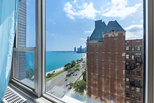 1550 N Lake Shore Dr, Chicago, IL 60610 - Photo 17