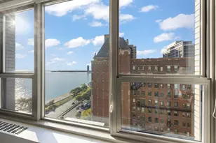 1550 N Lake Shore Dr, Chicago, IL 60610 - Photo 19
