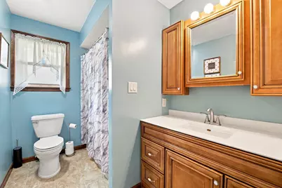 703 Hill Street, Mazon, IL 60444 - Photo 19
