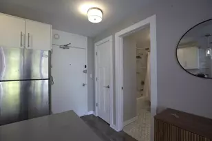 70 W Burton Pl, Chicago, IL 60610 - Photo 3