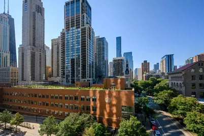 30 W Oak Street #7B, Chicago, IL 60610 - Photo 39