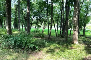 21554 W Countryside Valley Dr, Mundelein, IL 60060 - Photo 33