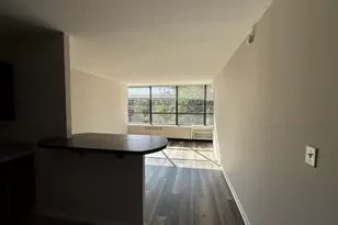 4800 S Chicago Beach Dr, Chicago, IL 60615 - Photo 9
