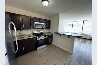 4800 S Chicago Beach Drive #308S, Chicago, IL 60615 - Photo 3