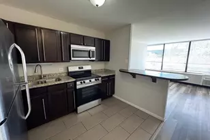 4800 S Chicago Beach Dr, Chicago, IL 60615 - Photo 3