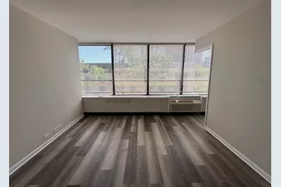 4800 S Chicago Beach Drive #308S, Chicago, IL 60615 - Photo 5