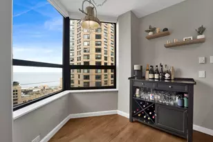400 E Ohio St, Chicago, IL 60611 - Photo 15