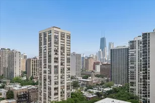 1560 N Sandburg Terrace, Chicago, IL 60610 - Photo 9