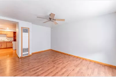 1019 W 18th Street, Chicago, IL 60608 - Photo 23