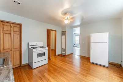 1019 W 18th Street, Chicago, IL 60608 - Photo 25