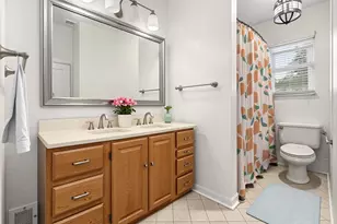 1323 E Rosita Dr, Palatine, IL 60074 - Photo 29