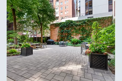 232 E Walton Place #3E, Chicago, IL 60611 - Photo 41
