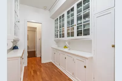 232 E Walton Place #3E, Chicago, IL 60611 - Photo 21