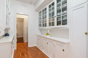232 E Walton Pl, Chicago, IL 60611 - Photo 21