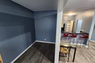 680 S Federal St, Chicago, IL 60605 - Photo 13